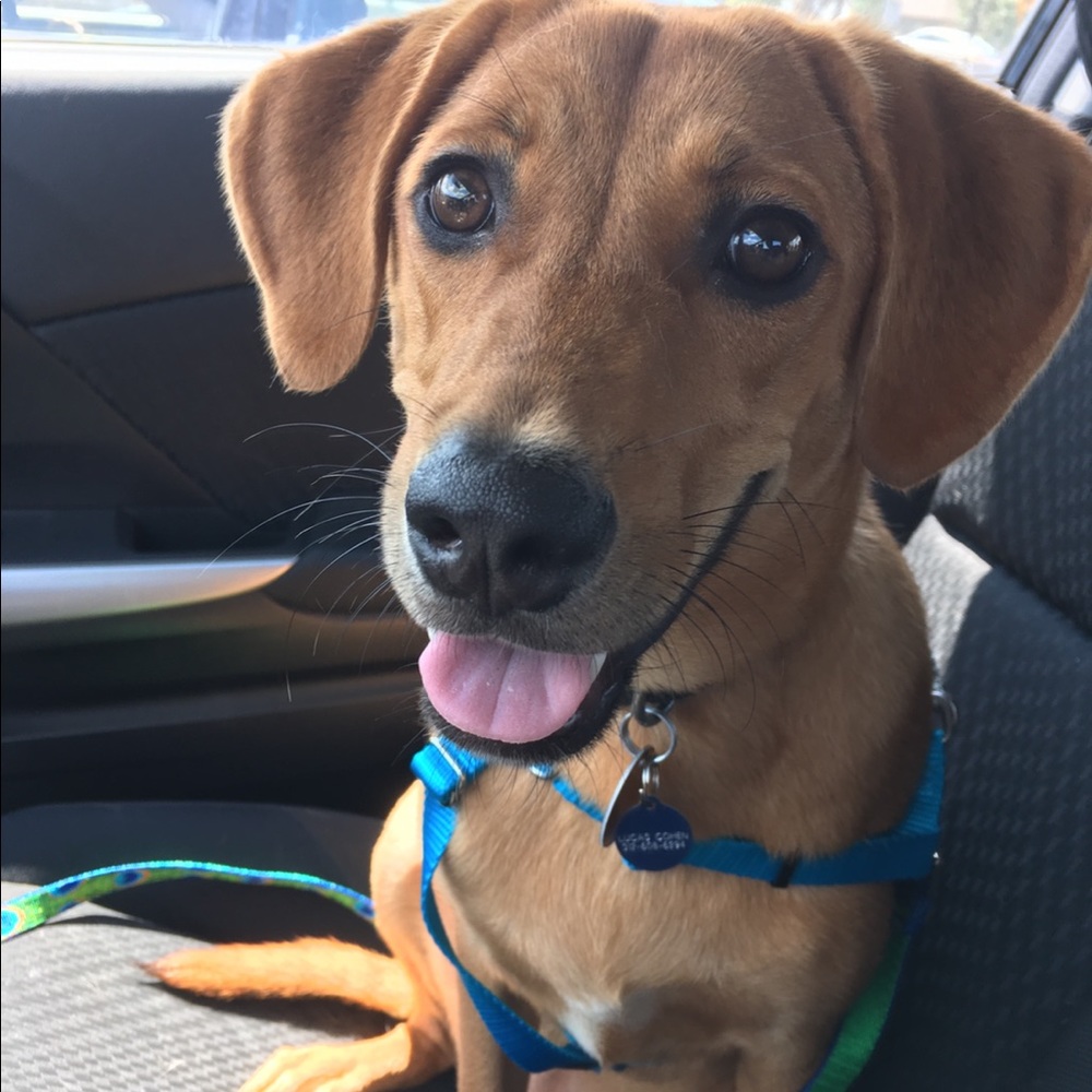 Meet your Posher, Kat